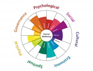 A "medicine wheel" graphic that will be used to showcase HWB indicators; copyright Biedenweg et al.